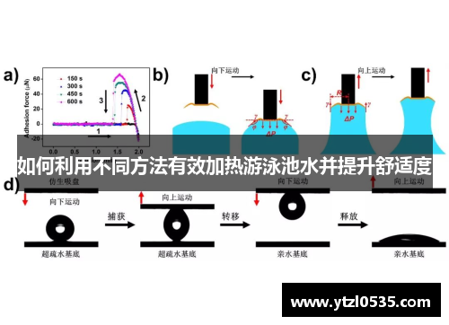 如何利用不同方法有效加热游泳池水并提升舒适度