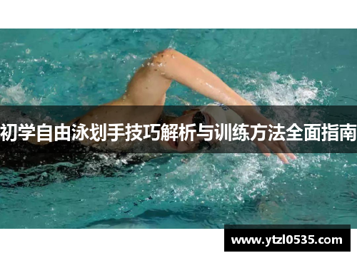 初学自由泳划手技巧解析与训练方法全面指南