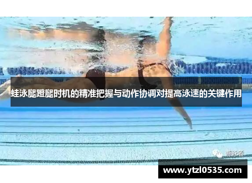 蛙泳腿蹬腿时机的精准把握与动作协调对提高泳速的关键作用